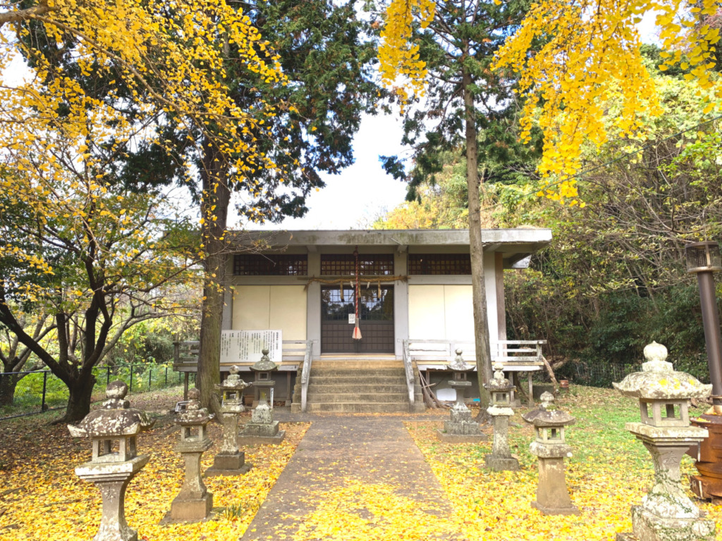 Thumbnail of post image 016