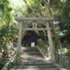 Thumbnail of new posts 076