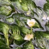Thumbnail of new posts 141