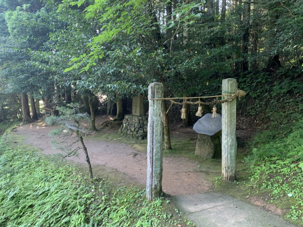 Thumbnail of post image 051